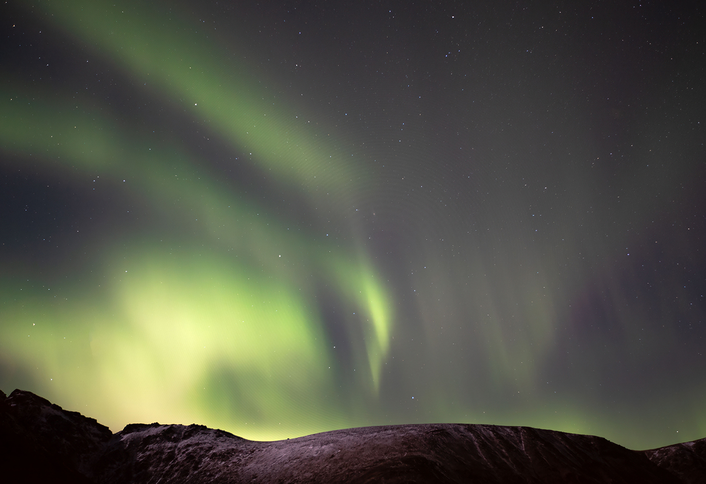 Aurora Tile Image
